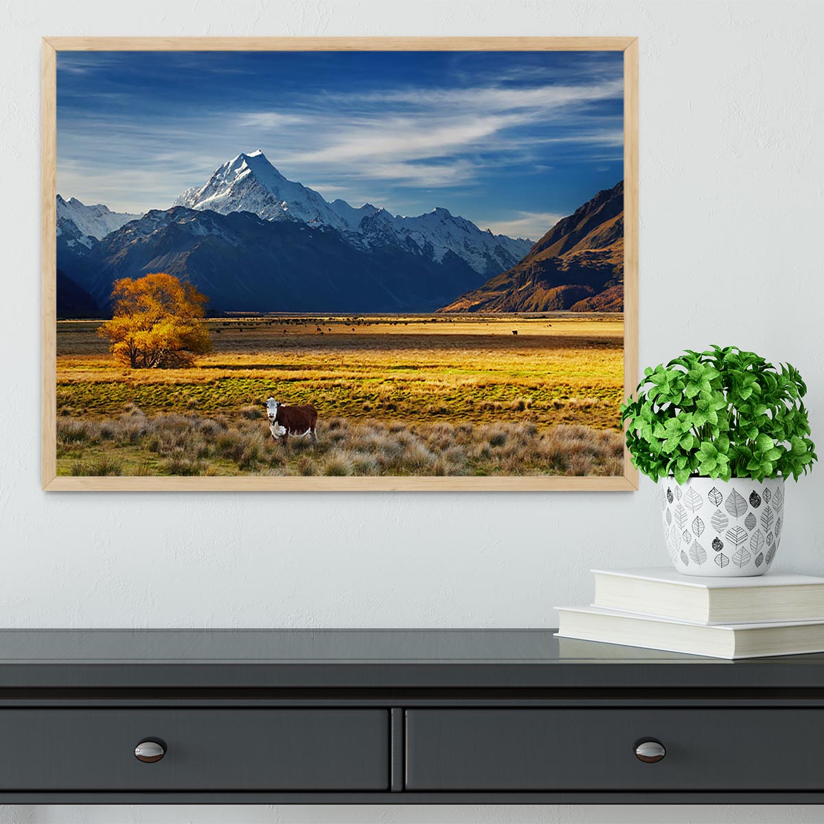Farmland with grazing cows and Mount Cook Framed Print - Canvas Art Rocks - 4