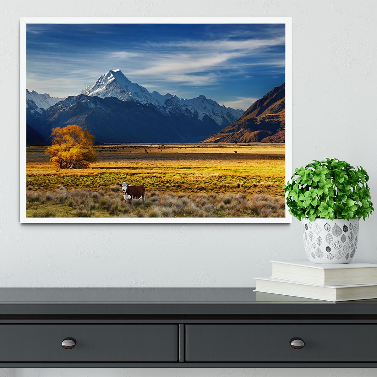 Farmland with grazing cows and Mount Cook Framed Print - Canvas Art Rocks -6
