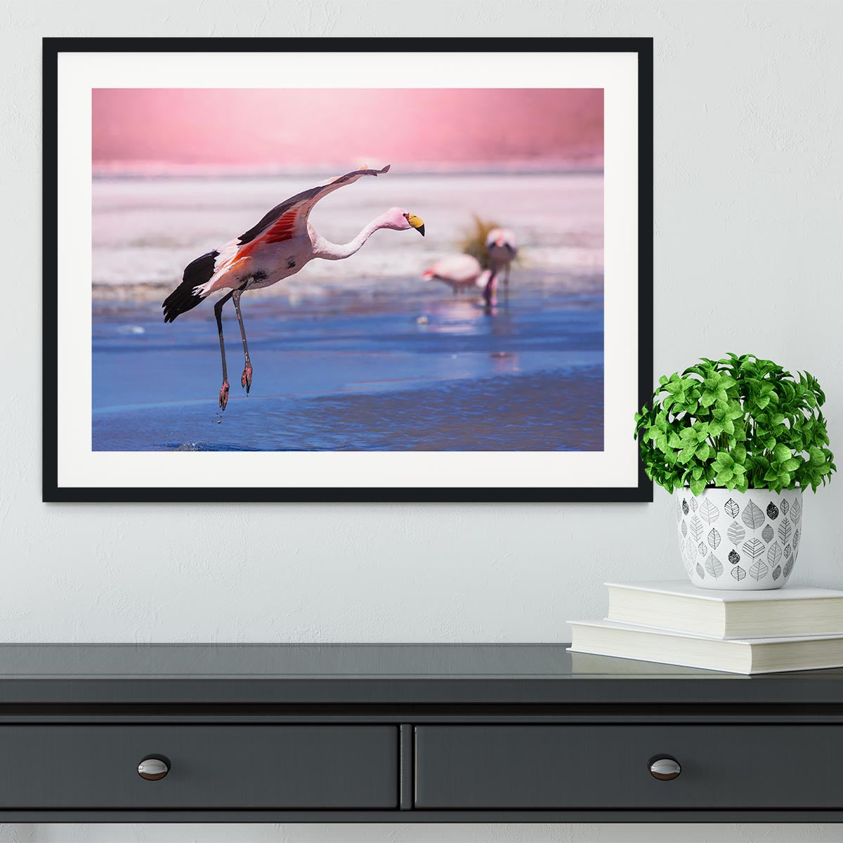 Flamingo in Bolivia Framed Print - Canvas Art Rocks - 1