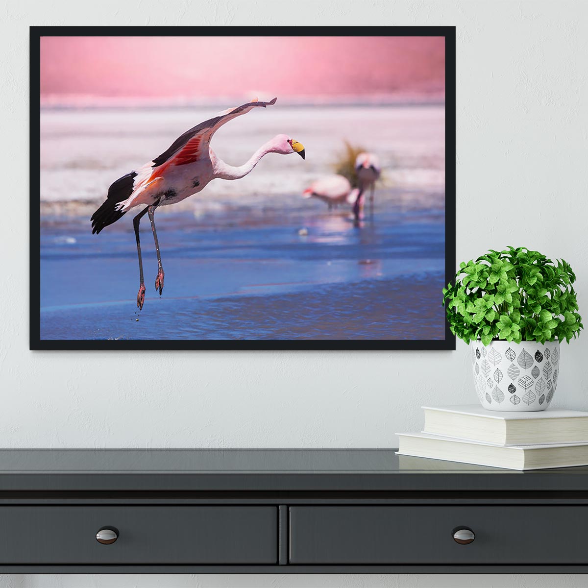 Flamingo in Bolivia Framed Print - Canvas Art Rocks - 2