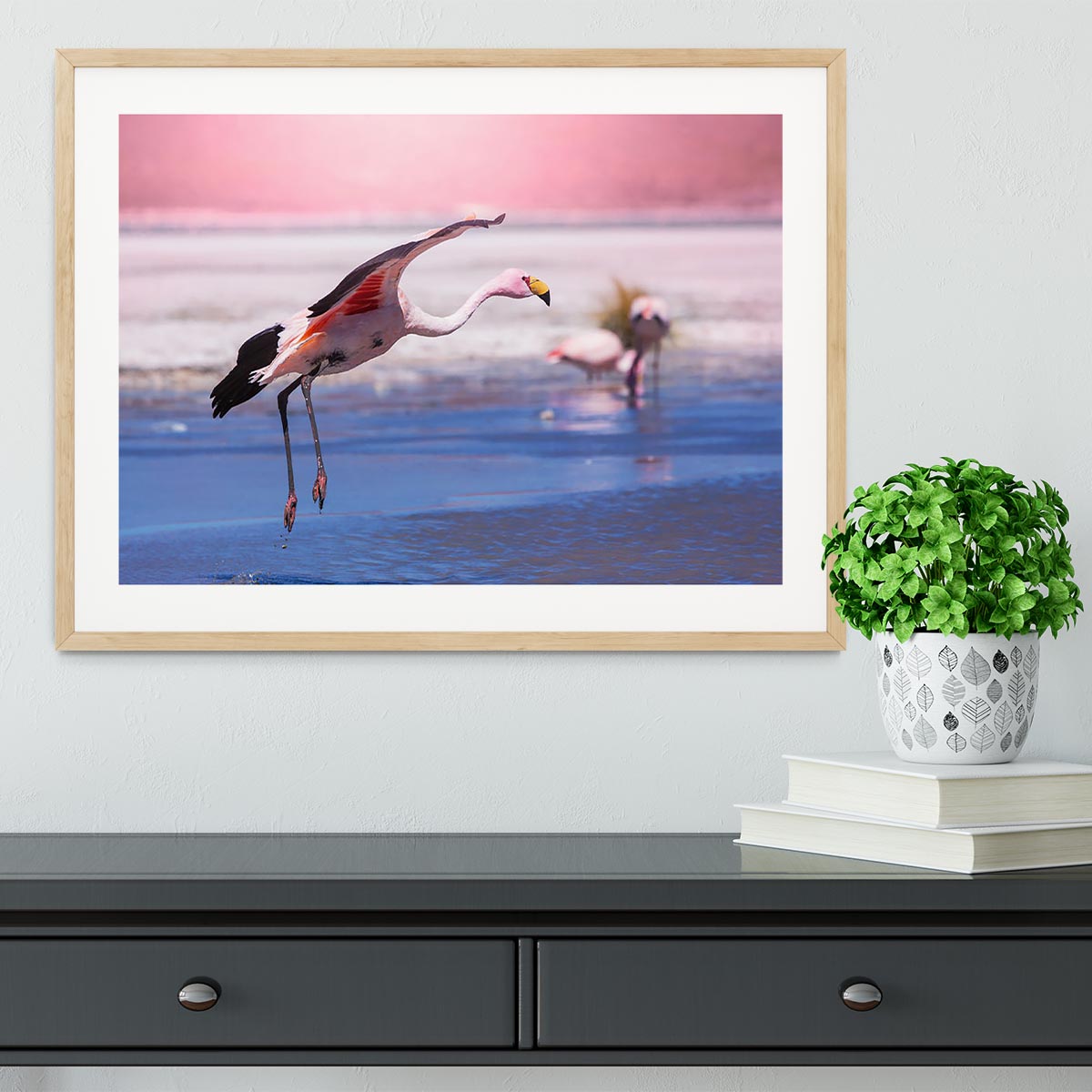 Flamingo in Bolivia Framed Print - Canvas Art Rocks - 3