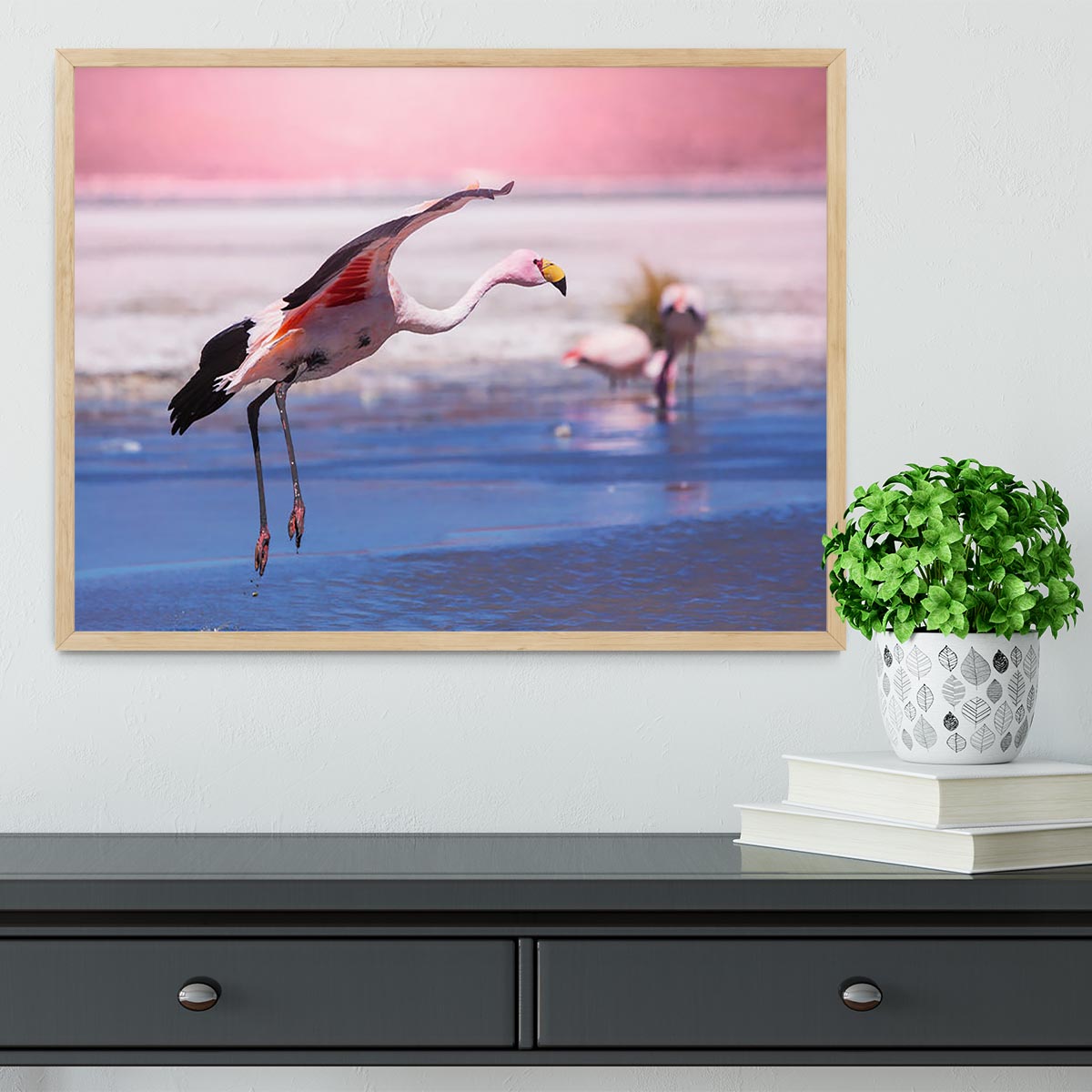 Flamingo in Bolivia Framed Print - Canvas Art Rocks - 4