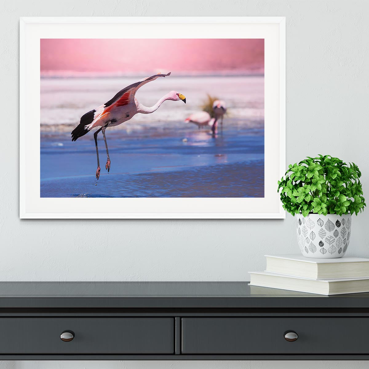 Flamingo in Bolivia Framed Print - Canvas Art Rocks - 5