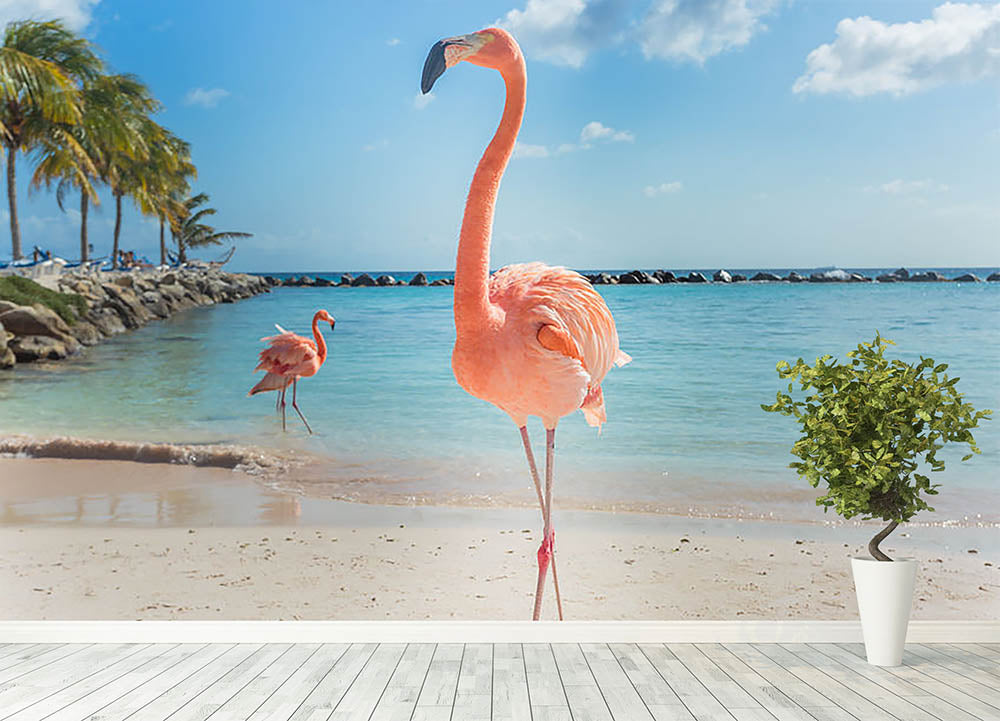 Renaissance Island, Aruba | Flamingo pictures, Flamingo, Flamingo wallpaper