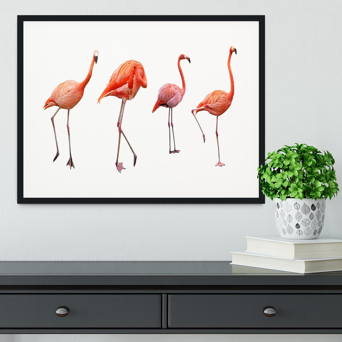 Four pink flamingo birds isolated on white Framed Print - Canvas Art Rocks - 1