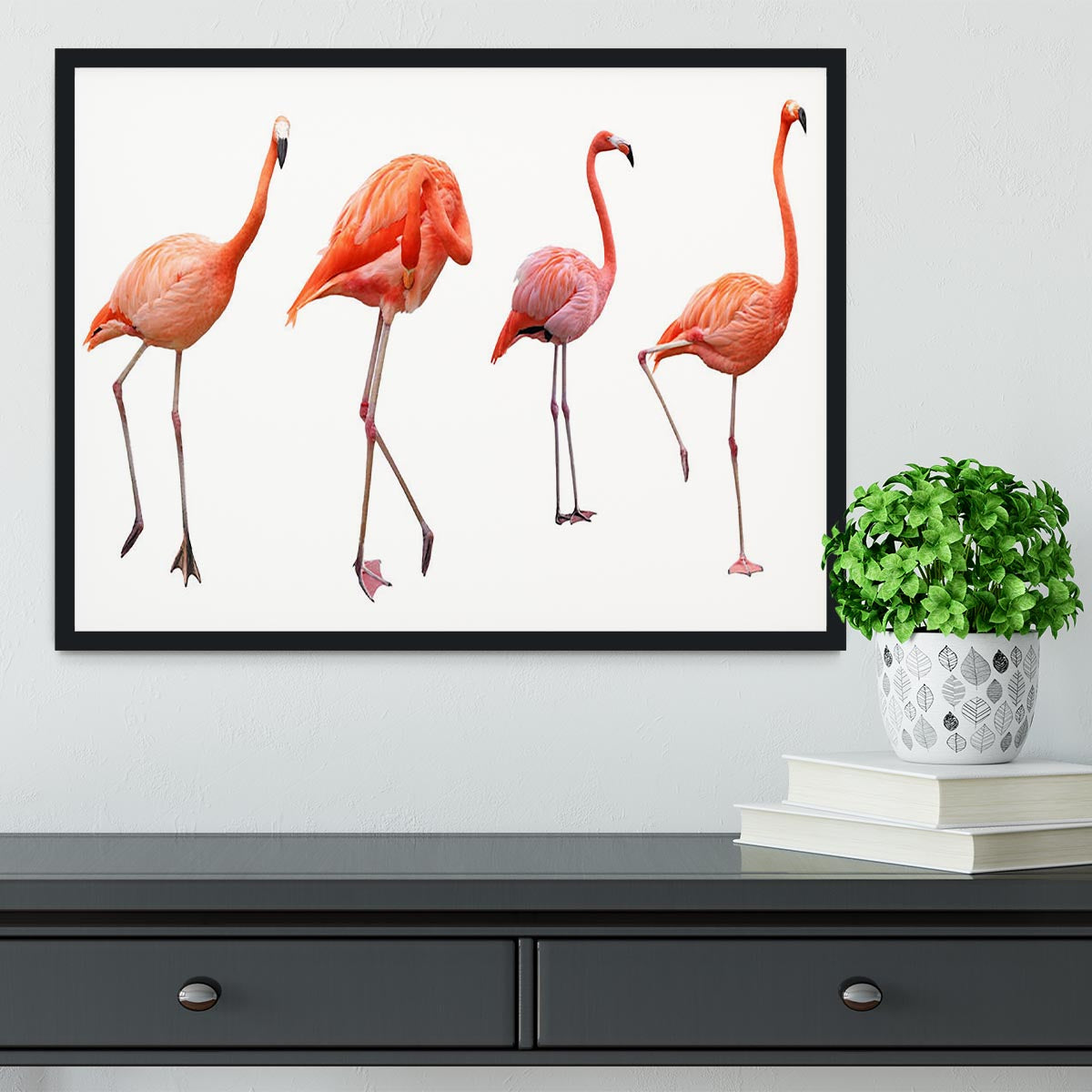 Four pink flamingo birds isolated on white Framed Print - Canvas Art Rocks - 2