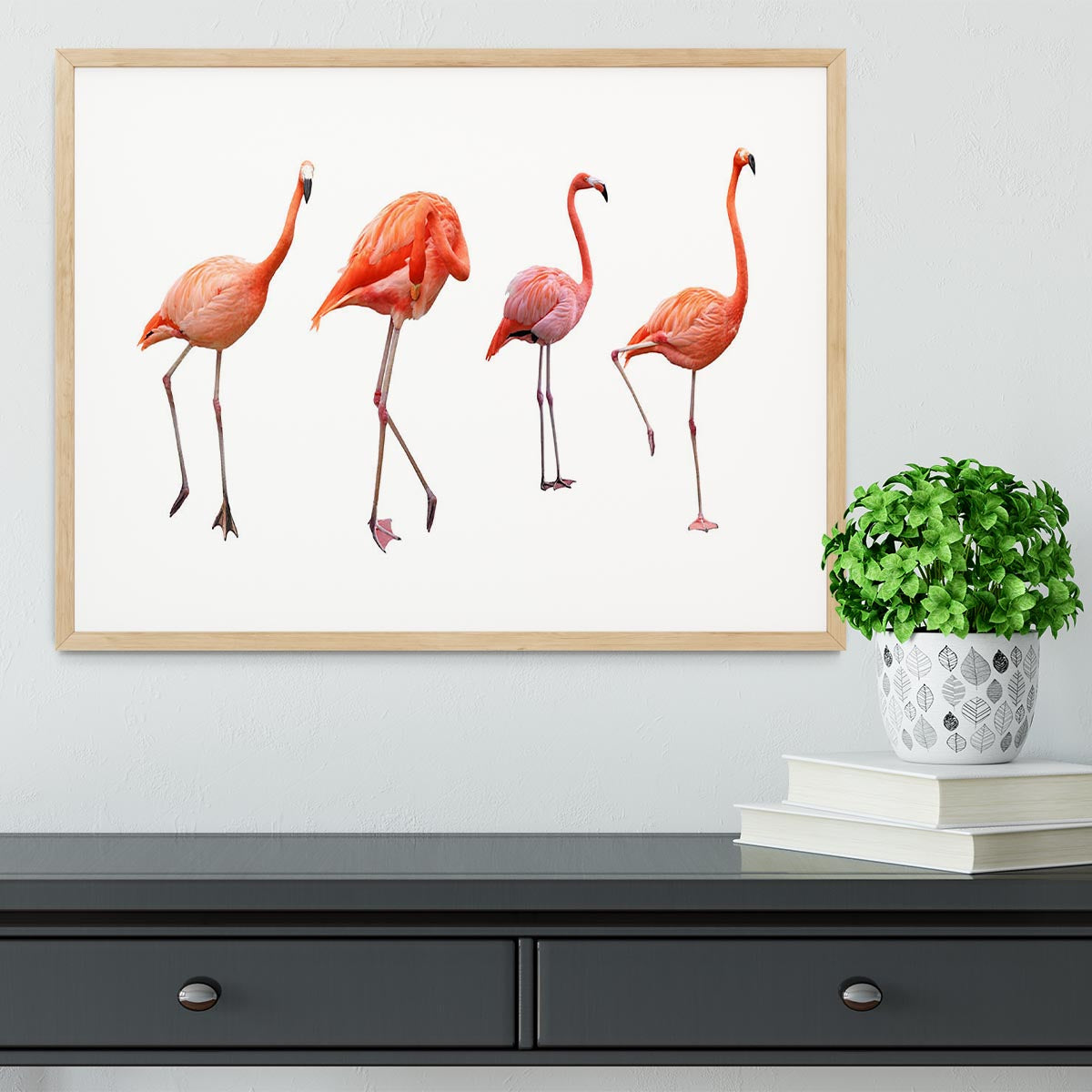 Four pink flamingo birds isolated on white Framed Print - Canvas Art Rocks - 3