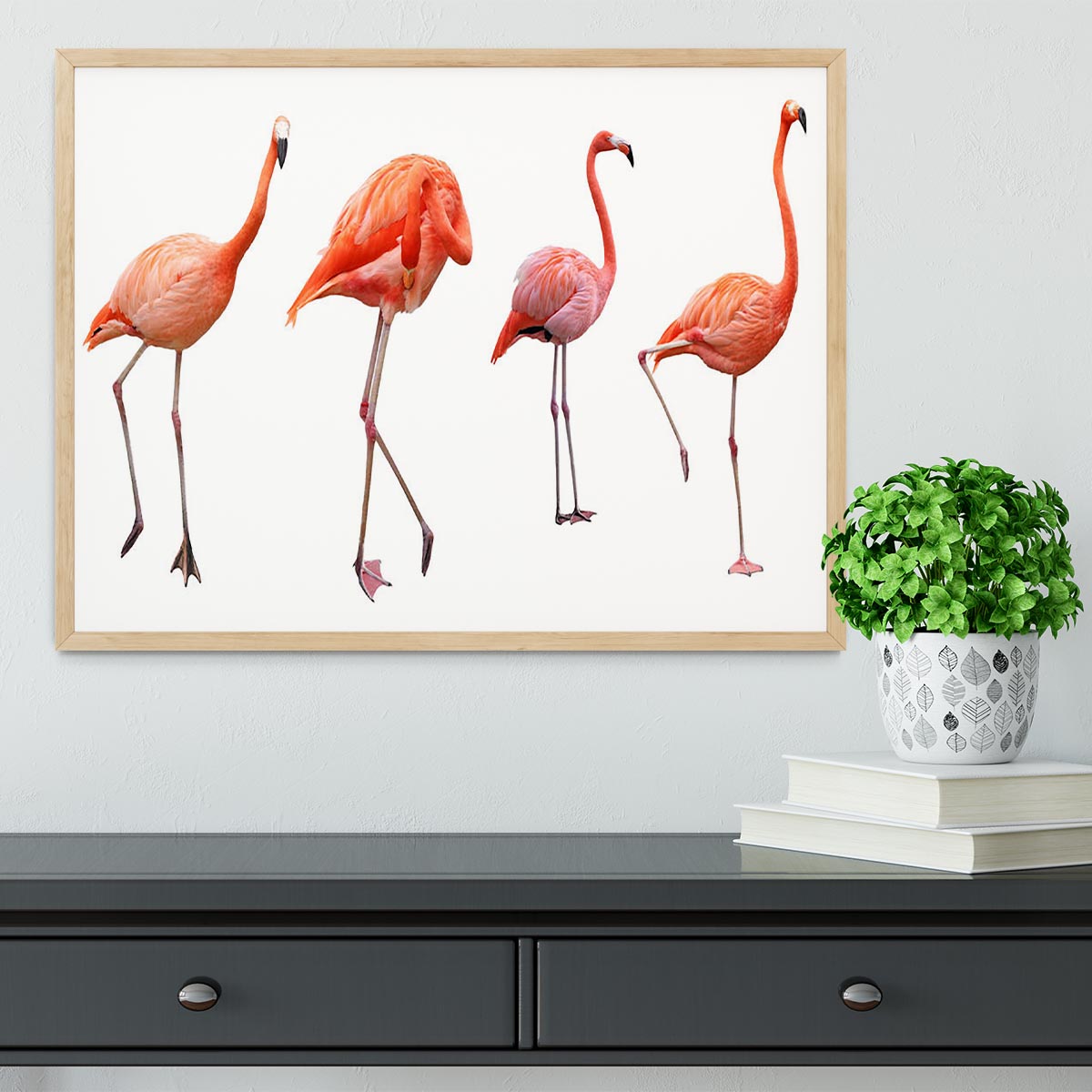 Four pink flamingo birds isolated on white Framed Print - Canvas Art Rocks - 4