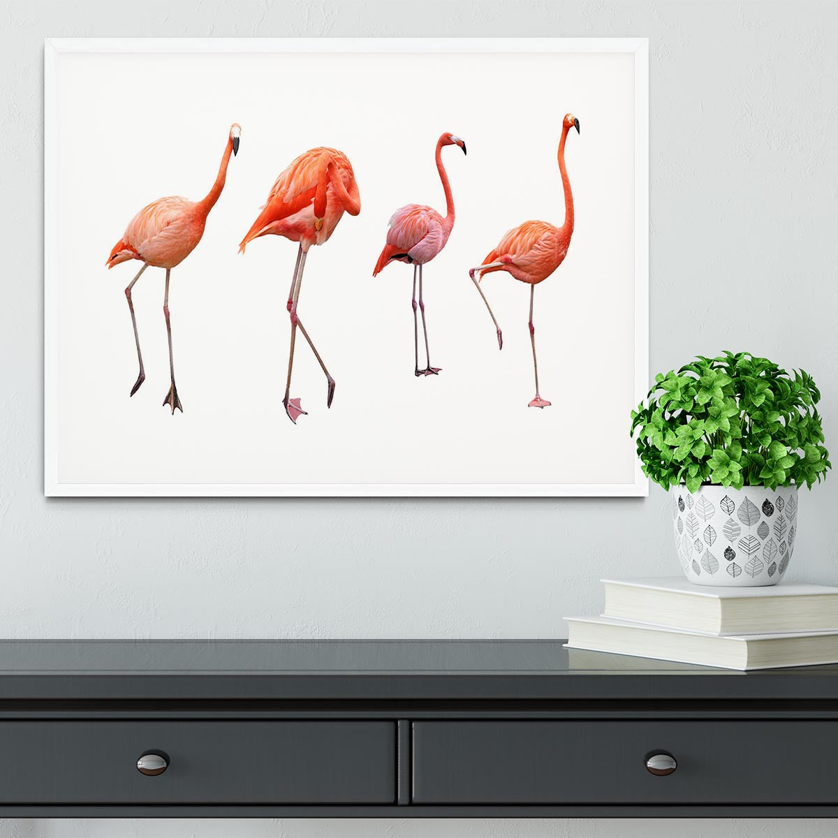 Four pink flamingo birds isolated on white Framed Print - Canvas Art Rocks - 5