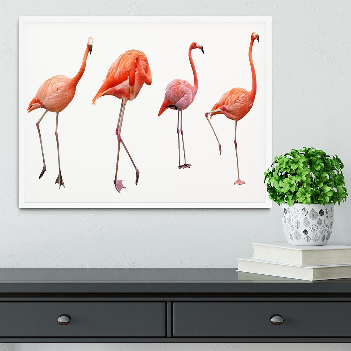 Four pink flamingo birds isolated on white Framed Print - Canvas Art Rocks -6