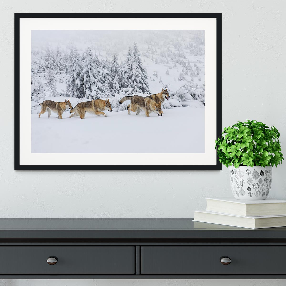 Four wolves in fresh snow in the mountains Framed Print - Canvas Art Rocks - 1