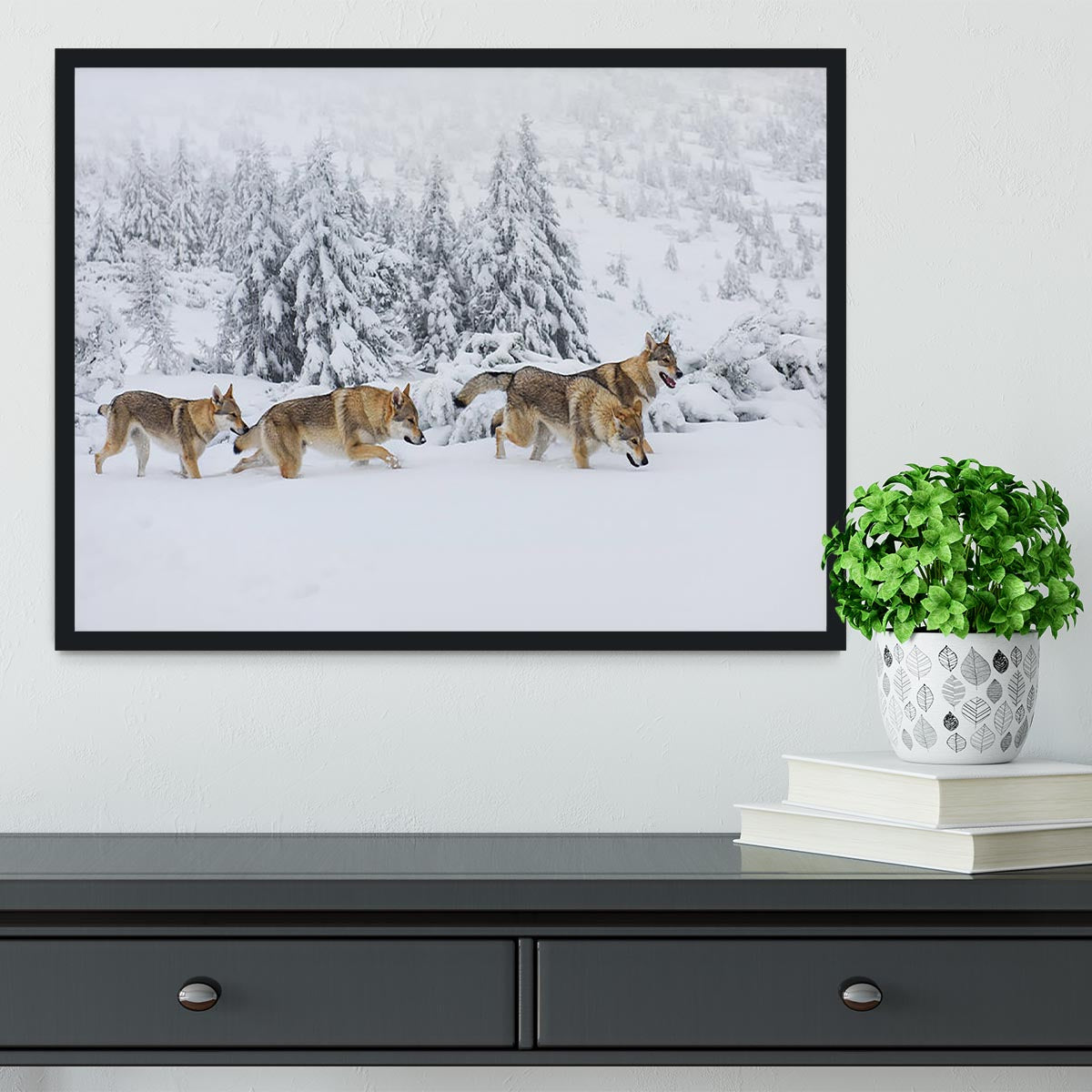 Four wolves in fresh snow in the mountains Framed Print - Canvas Art Rocks - 2