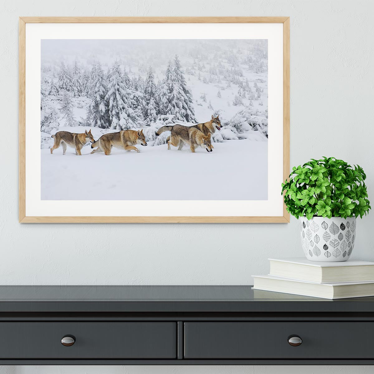 Four wolves in fresh snow in the mountains Framed Print - Canvas Art Rocks - 3