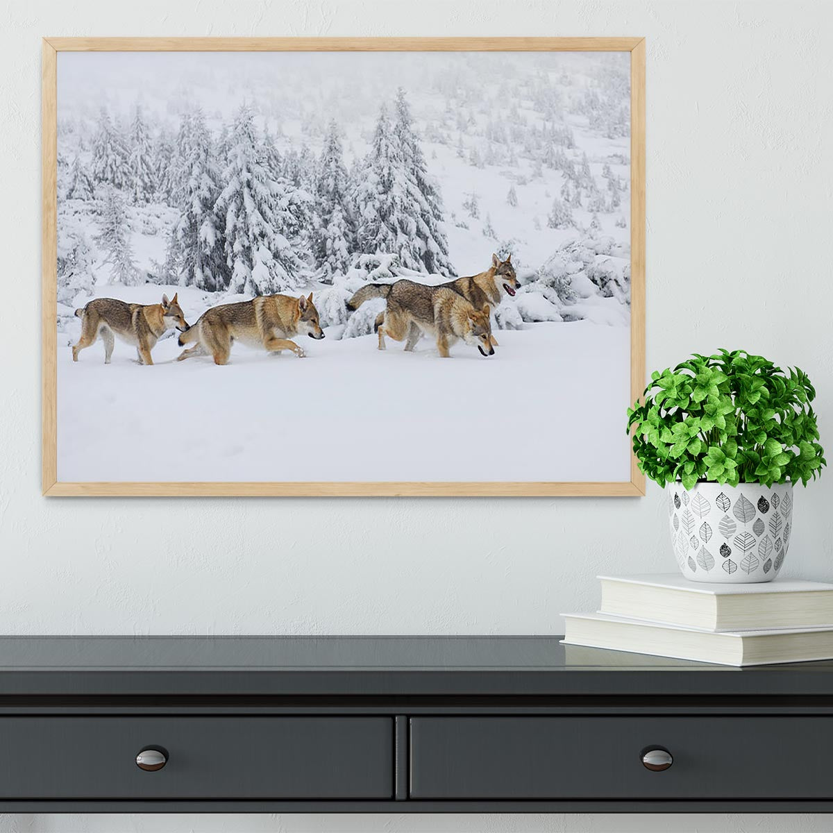 Four wolves in fresh snow in the mountains Framed Print - Canvas Art Rocks - 4