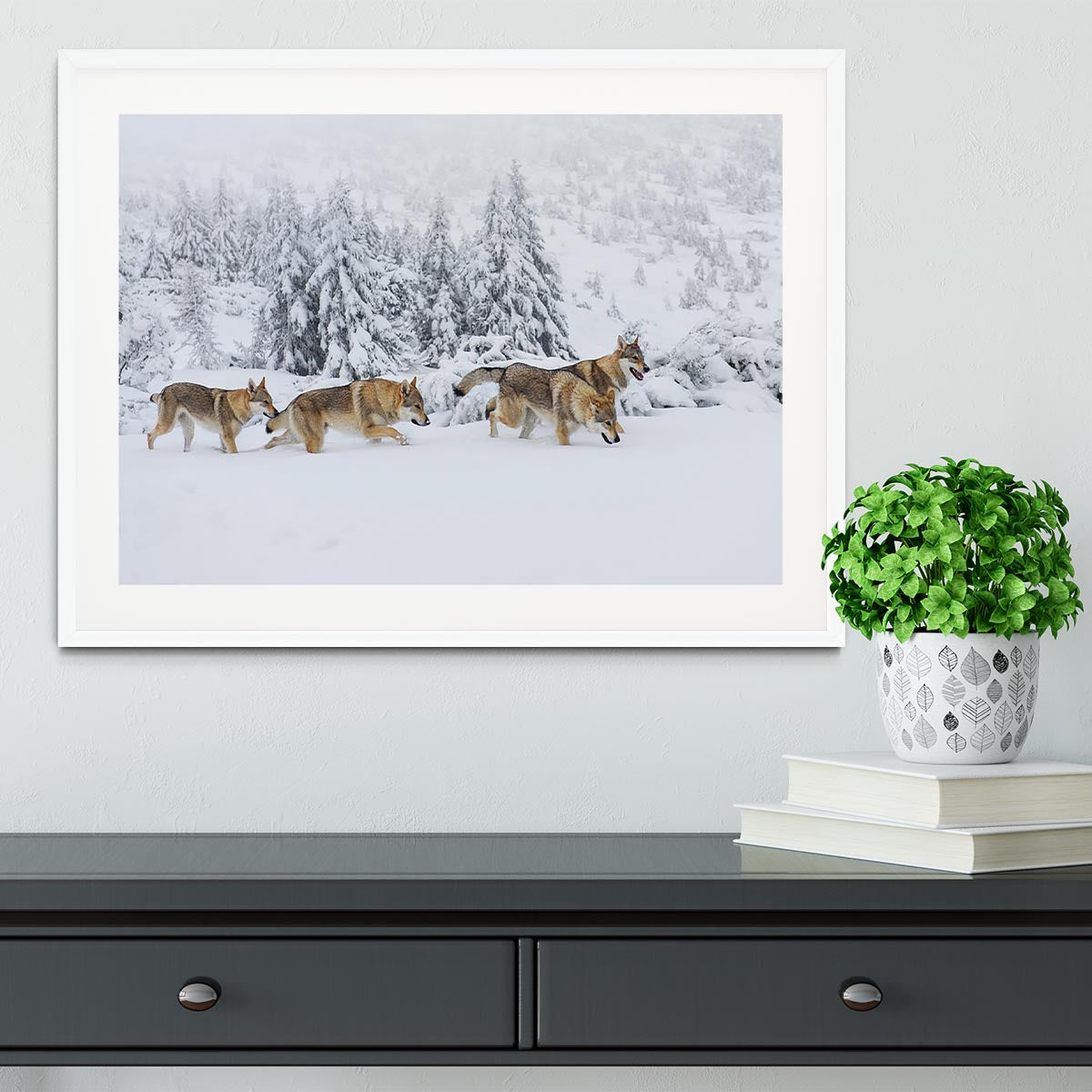 Four wolves in fresh snow in the mountains Framed Print - Canvas Art Rocks - 5