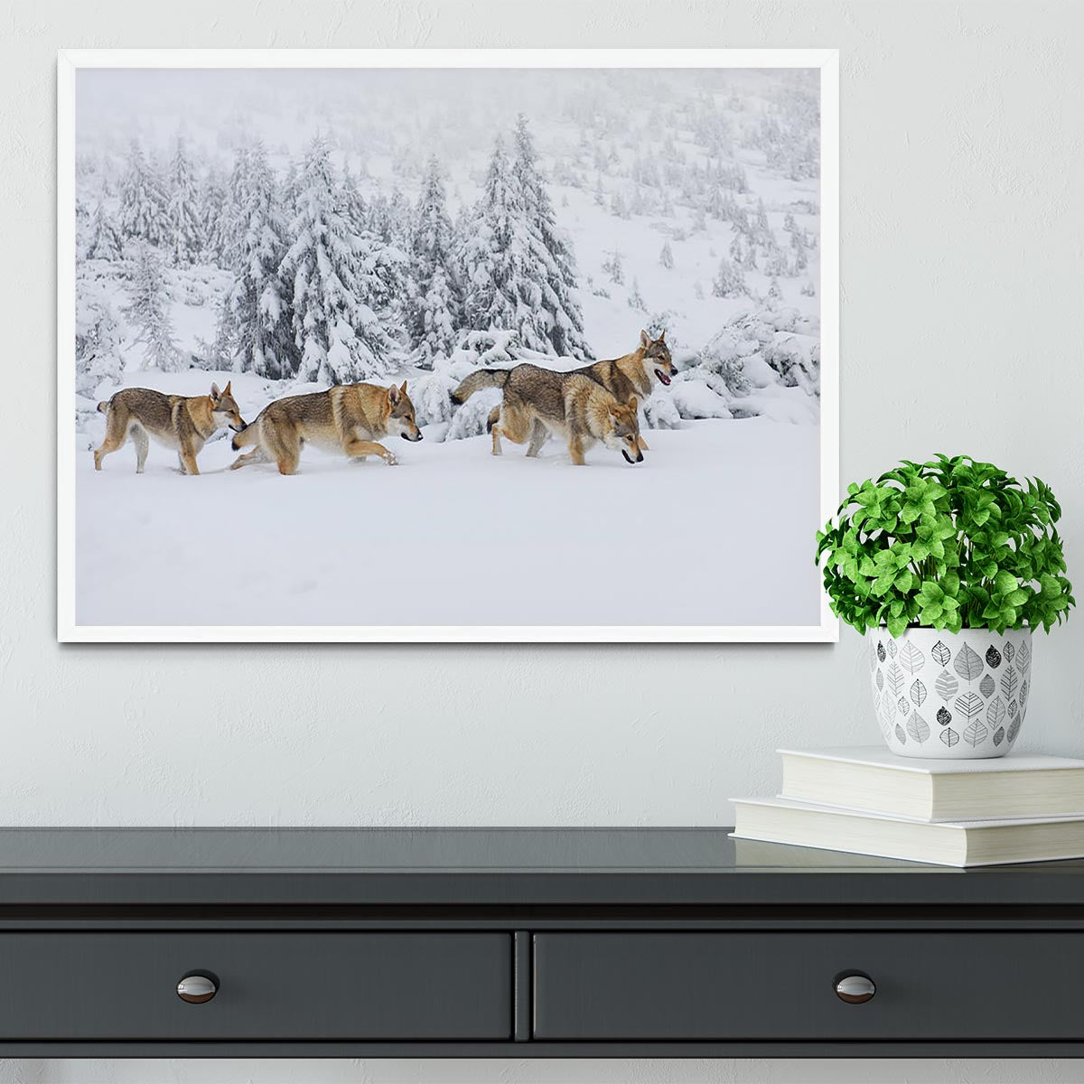 Four wolves in fresh snow in the mountains Framed Print - Canvas Art Rocks -6