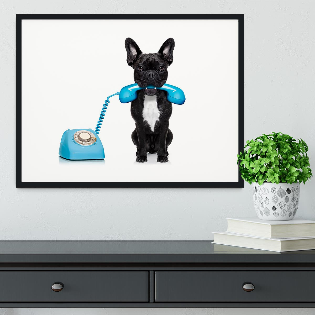 French bulldog dog on the phone or telephone in mouth Framed Print - Canvas Art Rocks - 1
