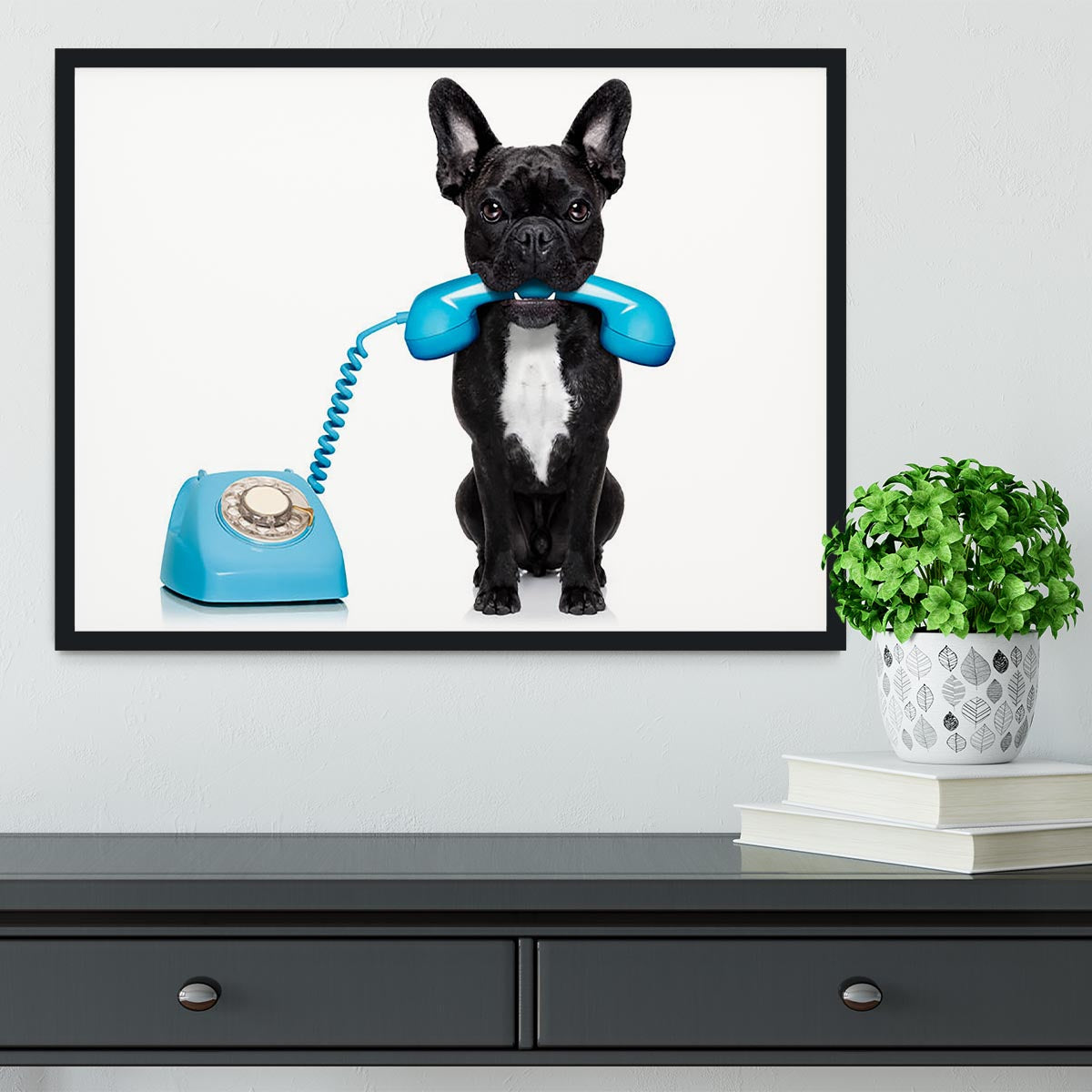 French bulldog dog on the phone or telephone in mouth Framed Print - Canvas Art Rocks - 2