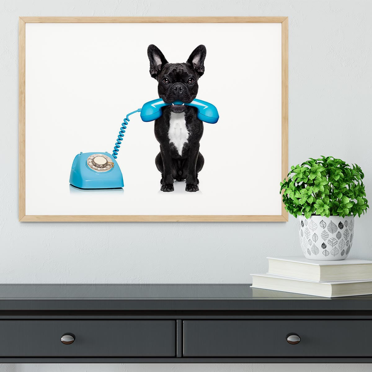 French bulldog dog on the phone or telephone in mouth Framed Print - Canvas Art Rocks - 3