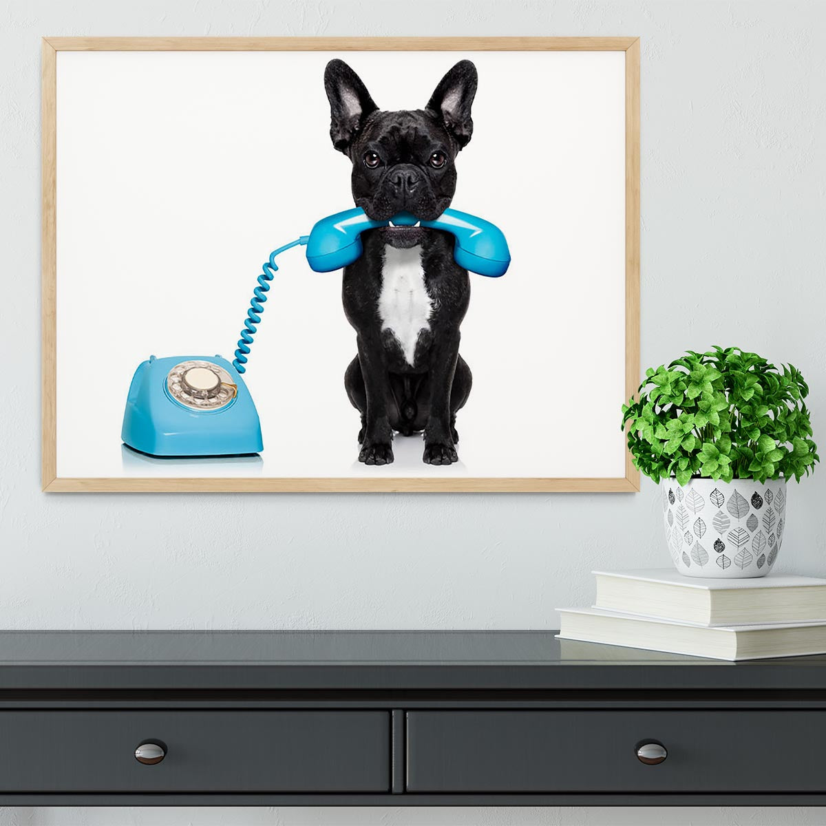 French bulldog dog on the phone or telephone in mouth Framed Print - Canvas Art Rocks - 4
