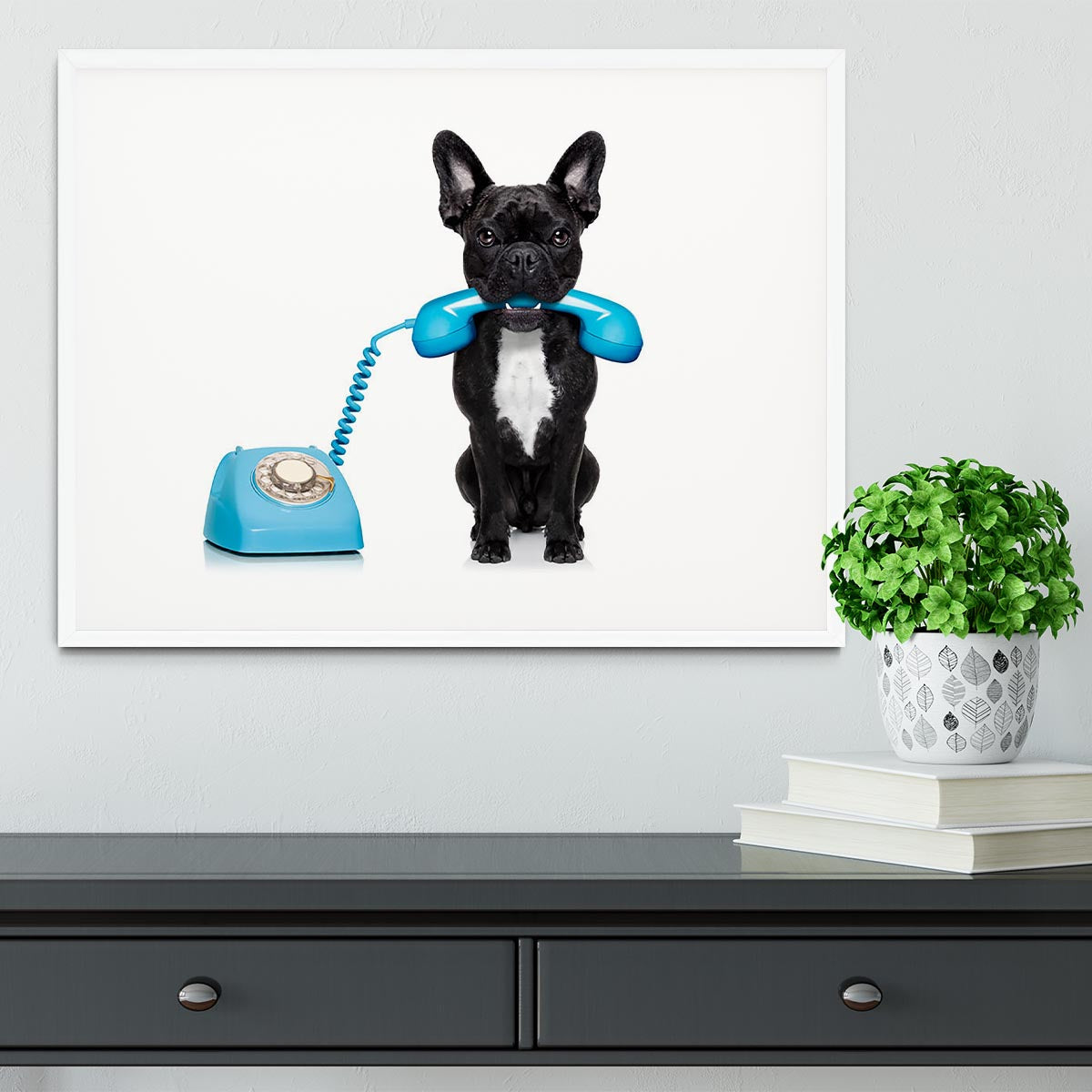 French bulldog dog on the phone or telephone in mouth Framed Print - Canvas Art Rocks - 5