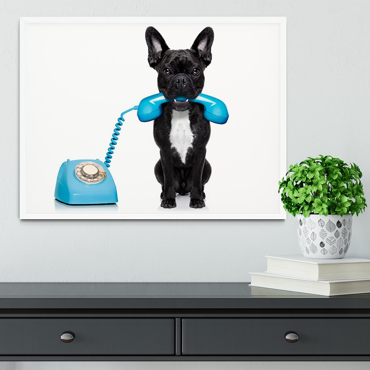 French bulldog dog on the phone or telephone in mouth Framed Print - Canvas Art Rocks -6
