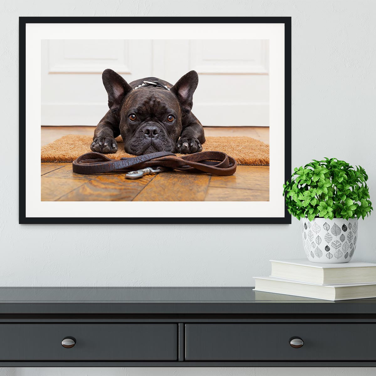 French bulldog dog waiting and begging to go for a walk with owner Framed Print - Canvas Art Rocks - 1