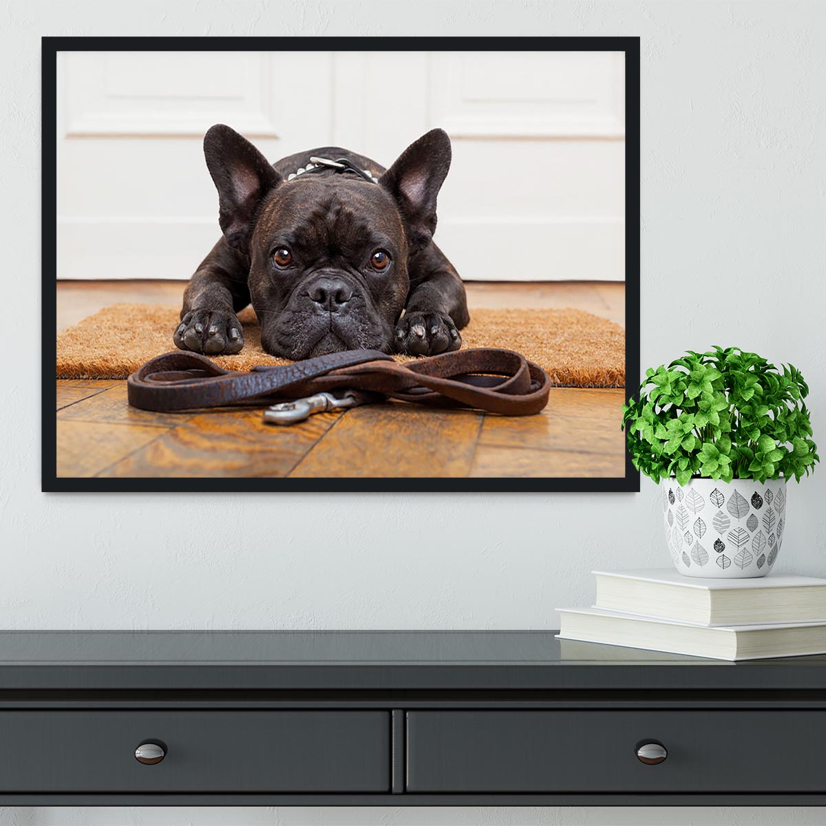 French bulldog dog waiting and begging to go for a walk with owner Framed Print - Canvas Art Rocks - 2