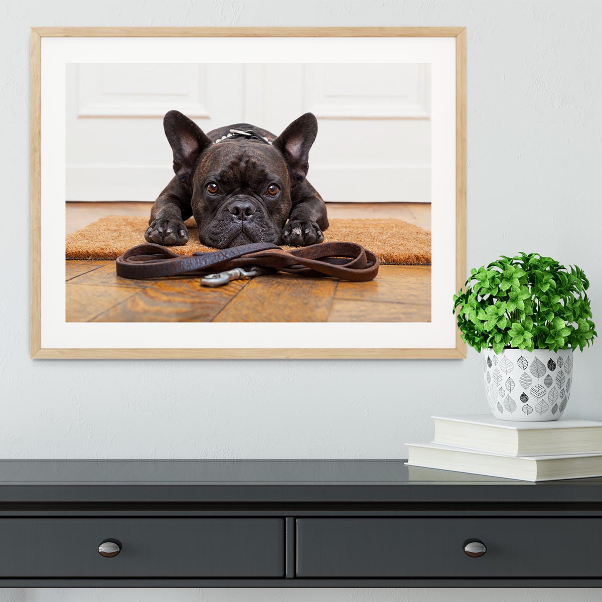French bulldog dog waiting and begging to go for a walk with owner Framed Print - Canvas Art Rocks - 3