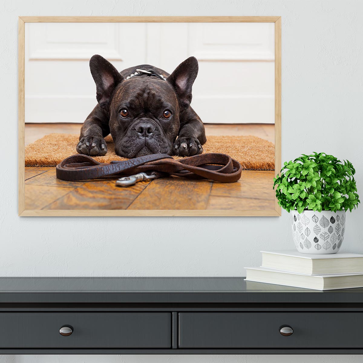 French bulldog dog waiting and begging to go for a walk with owner Framed Print - Canvas Art Rocks - 4
