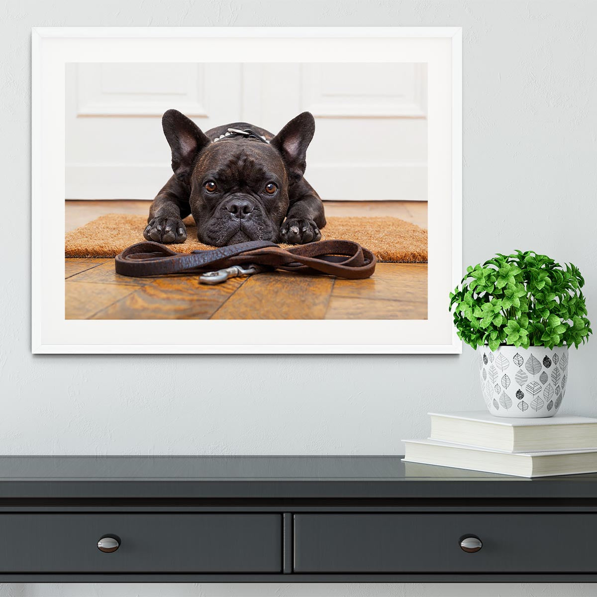 French bulldog dog waiting and begging to go for a walk with owner Framed Print - Canvas Art Rocks - 5