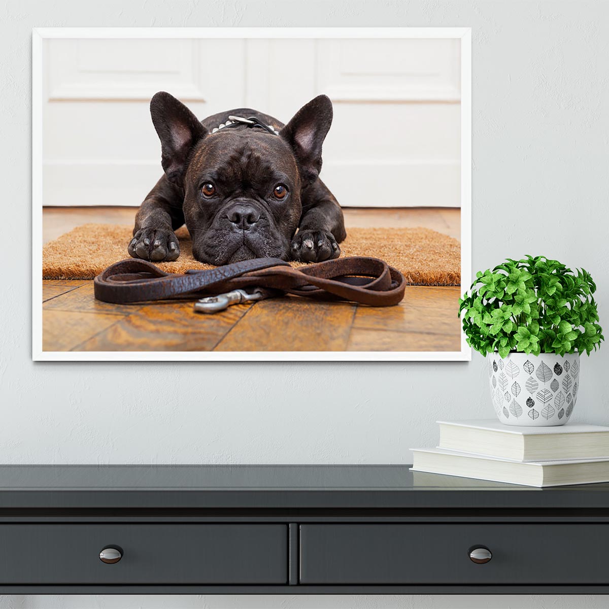 French bulldog dog waiting and begging to go for a walk with owner Framed Print - Canvas Art Rocks -6
