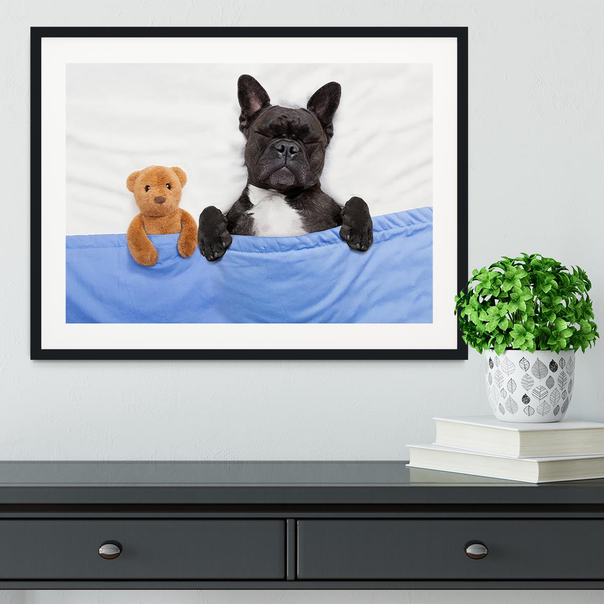 French bulldog dog with headache and hangover sleeping in bed Framed Print - Canvas Art Rocks - 1