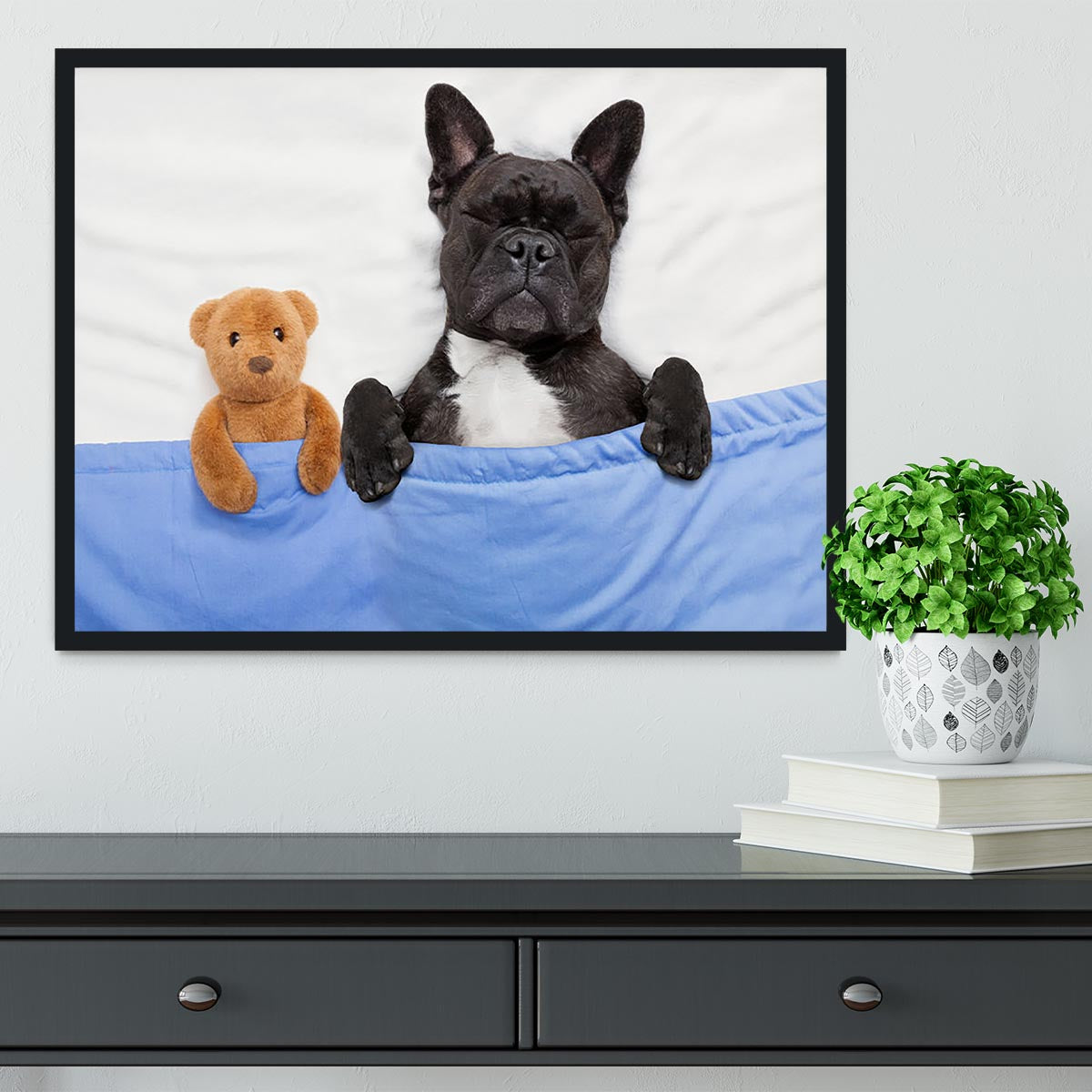 French bulldog dog with headache and hangover sleeping in bed Framed Print - Canvas Art Rocks - 2
