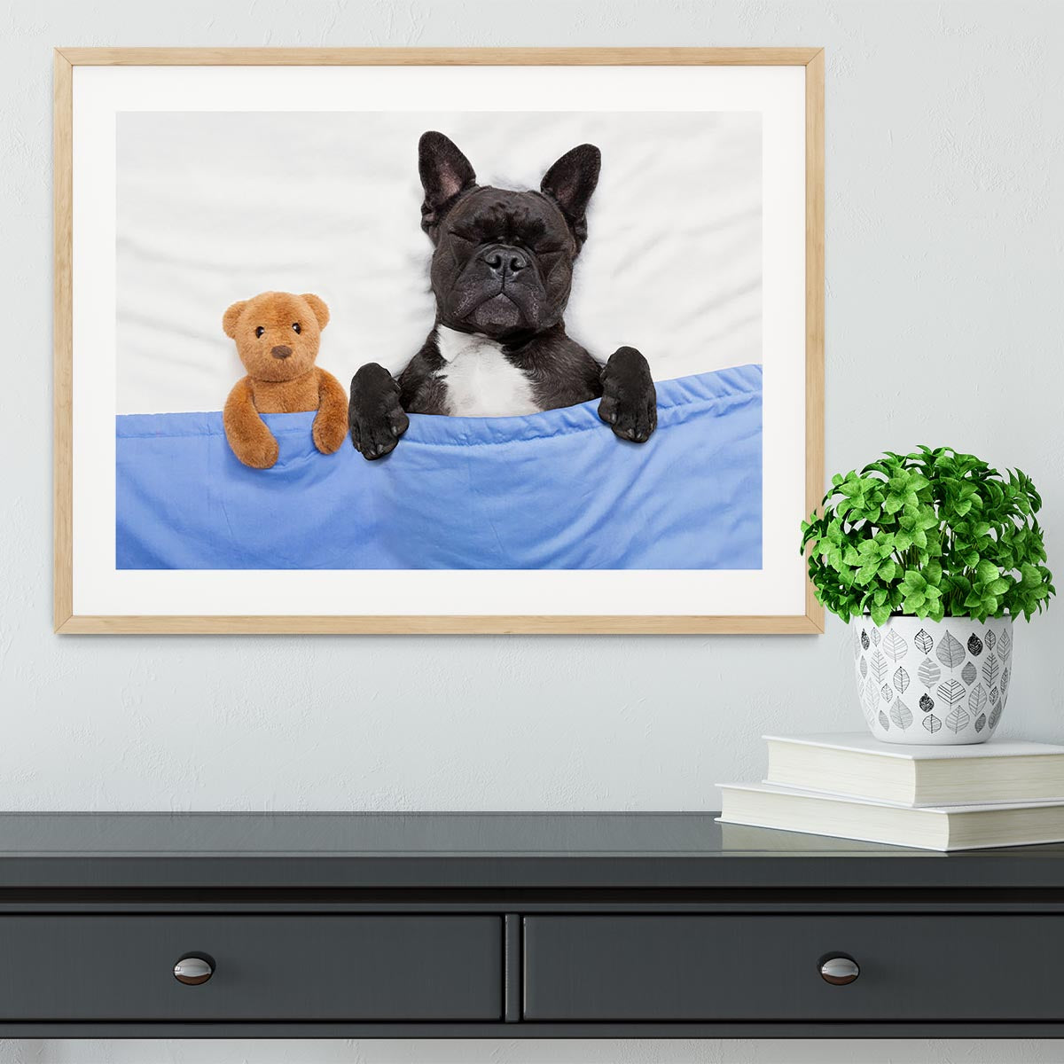 French bulldog dog with headache and hangover sleeping in bed Framed Print - Canvas Art Rocks - 3