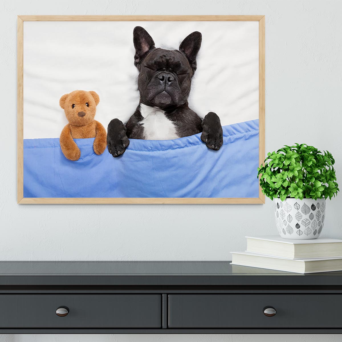 French bulldog dog with headache and hangover sleeping in bed Framed Print - Canvas Art Rocks - 4
