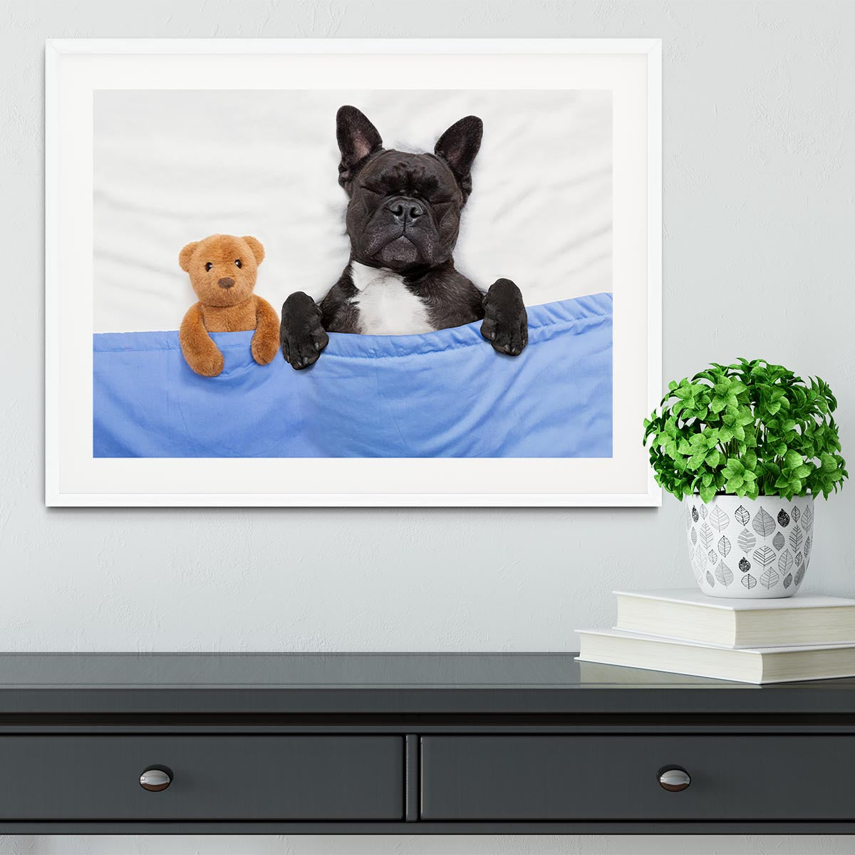 French bulldog dog with headache and hangover sleeping in bed Framed Print - Canvas Art Rocks - 5