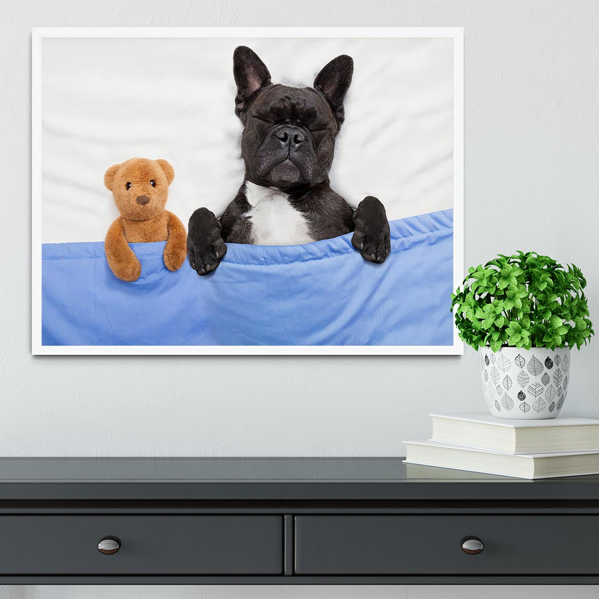 French bulldog dog with headache and hangover sleeping in bed Framed Print - Canvas Art Rocks -6