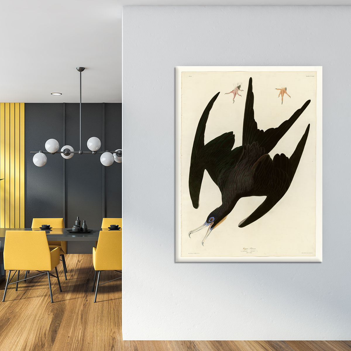 Frigate Pelican by Audubon Canvas Print or Poster - Canvas Art Rocks - 4