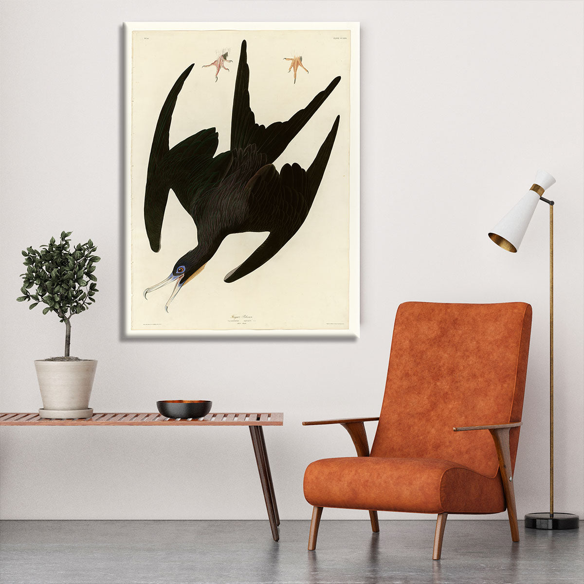 Frigate Pelican by Audubon Canvas Print or Poster - Canvas Art Rocks - 6
