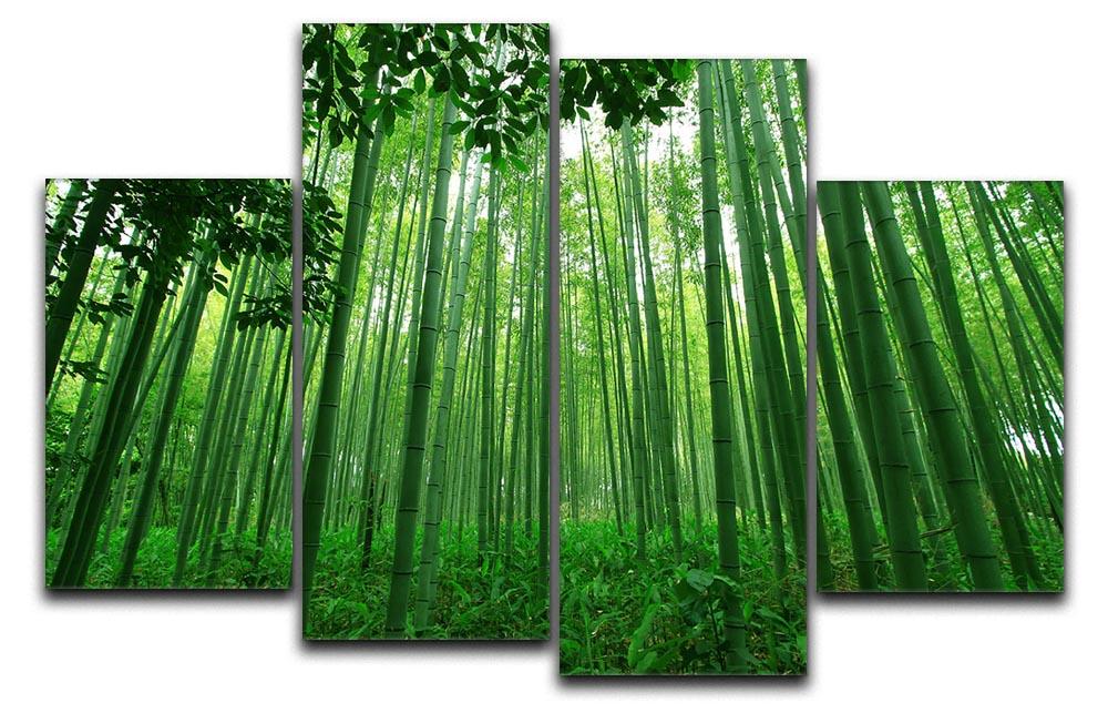 Green bamboo forest 4 Split Panel Canvas  - Canvas Art Rocks - 1