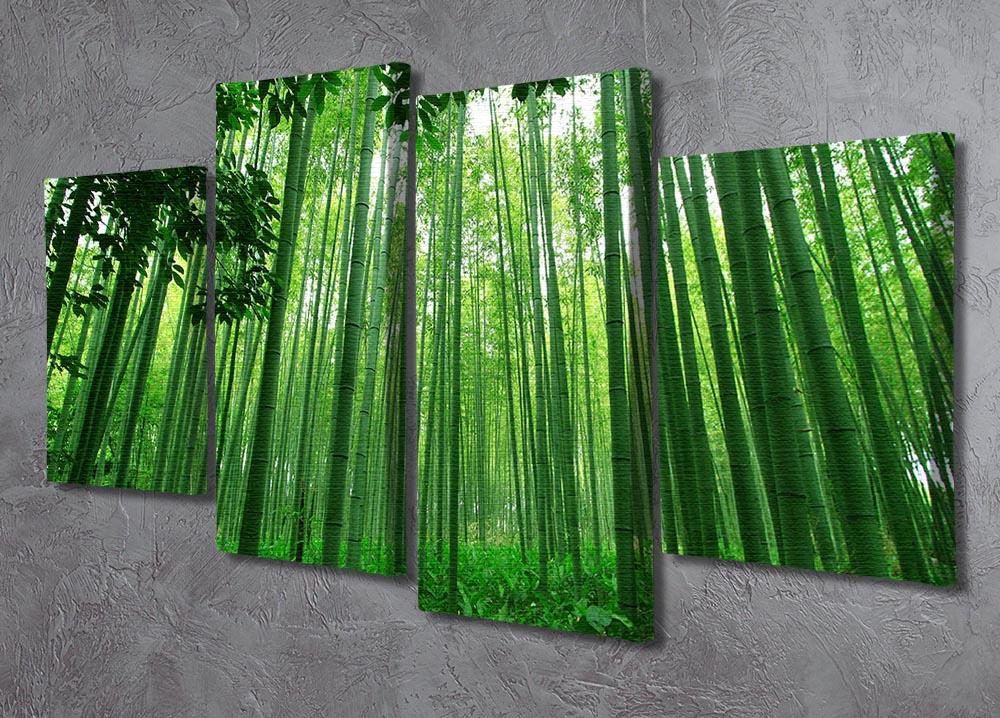 Green bamboo forest 4 Split Panel Canvas  - Canvas Art Rocks - 2