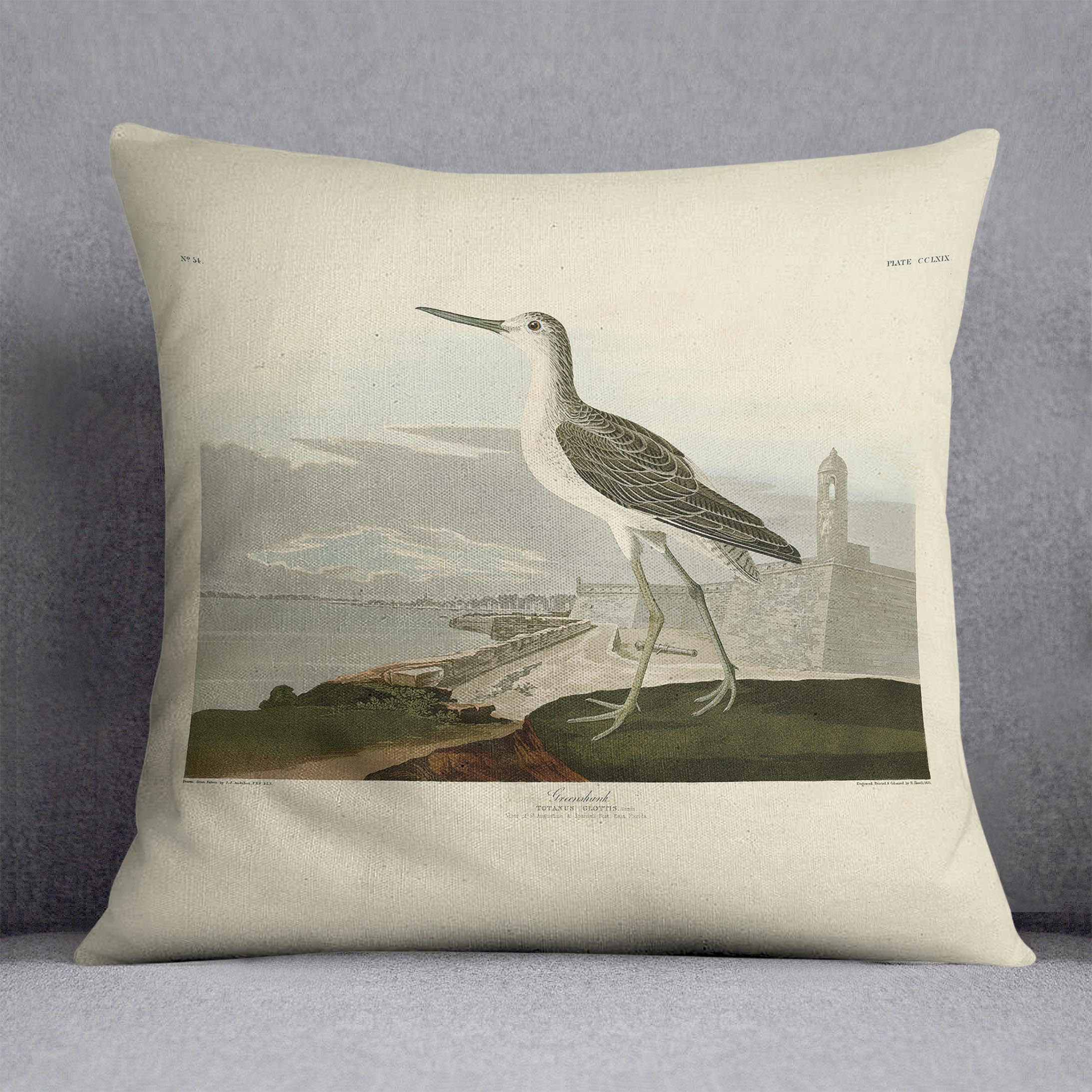 Greenshank by Audubon Cushion