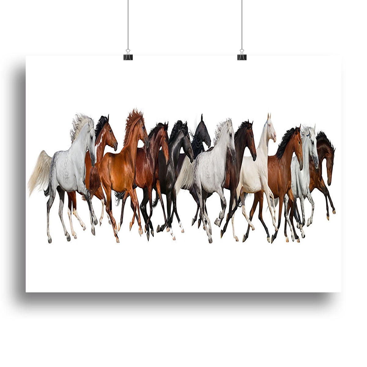 Horse herd Canvas Print or Poster - Canvas Art Rocks - 2