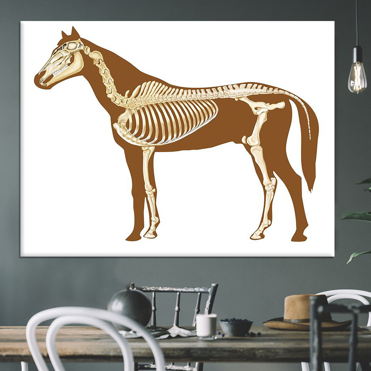 Horse skeleton section with bones x-ray Canvas Print or Poster - Canvas Art Rocks - 3