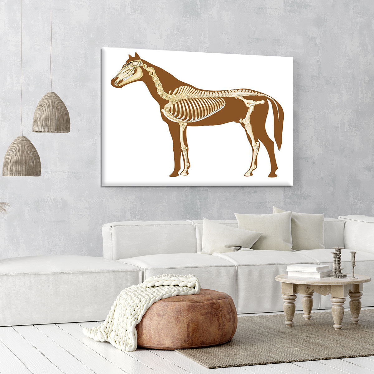 Horse skeleton section with bones x-ray Canvas Print or Poster - Canvas Art Rocks - 6