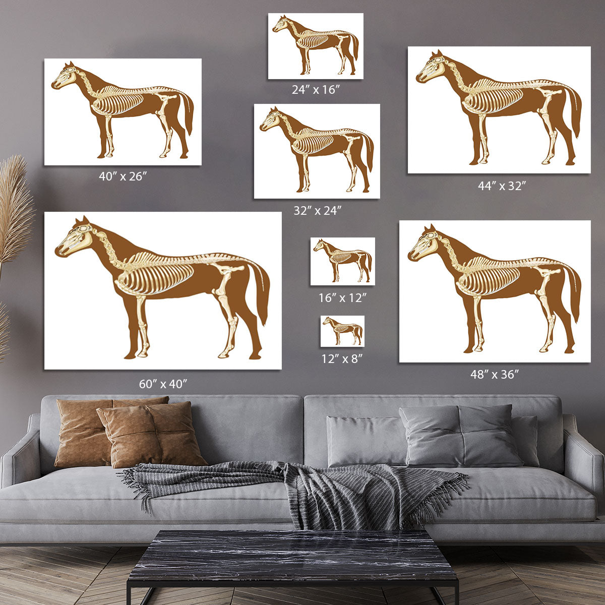 Horse skeleton section with bones x-ray Canvas Print or Poster - Canvas Art Rocks - 7