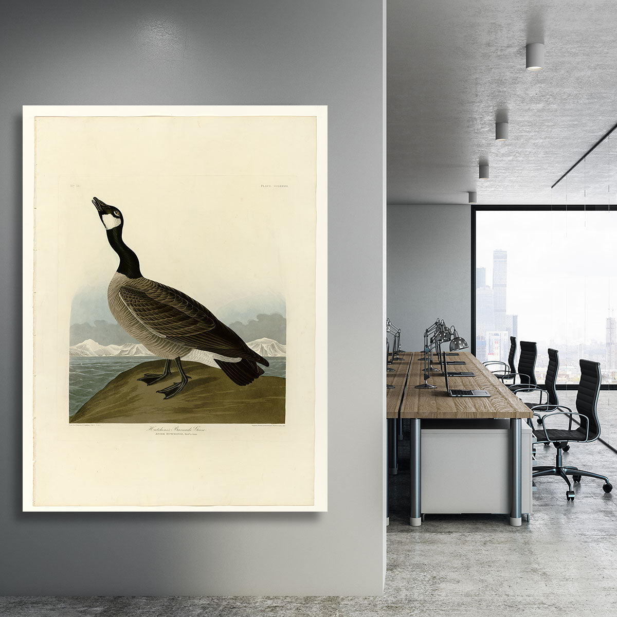 Hutchins Barnacle Goose by Audubon Canvas Print or Poster - Canvas Art Rocks - 3