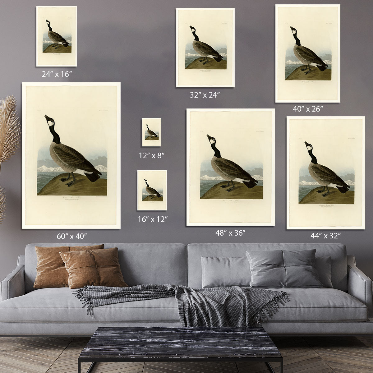 Hutchins Barnacle Goose by Audubon Canvas Print or Poster - Canvas Art Rocks - 7