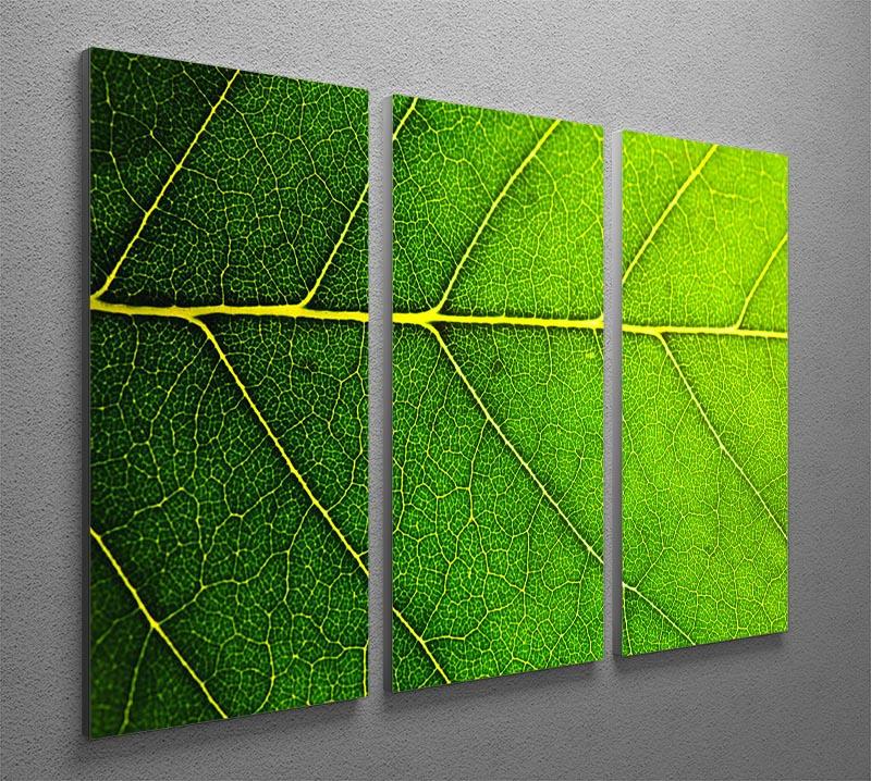 Leaf macro shot 3 Split Panel Canvas Print - Canvas Art Rocks - 2